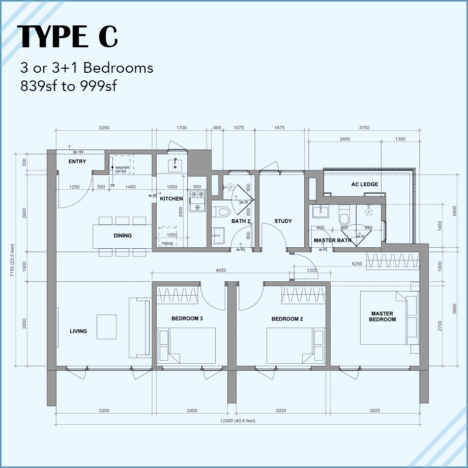 Type C: 3R 2B 1CP