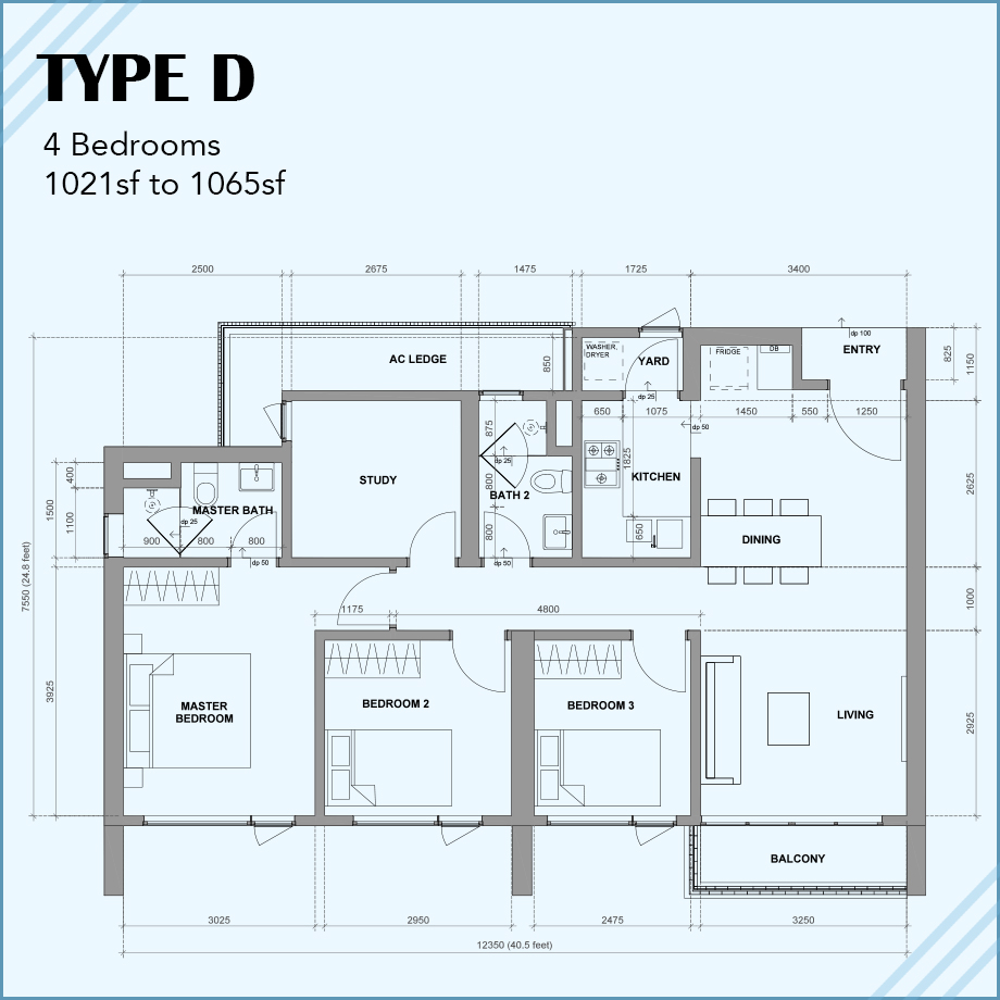 Type D: 4R 2B 2CP